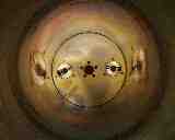 inside cavity
